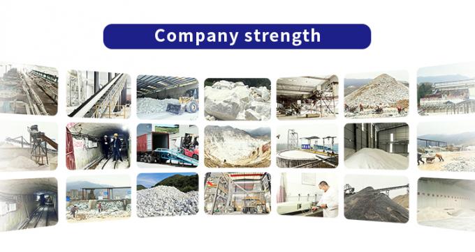 Guangdong XiMi New Material Technology Co., Ltd 공장 투어