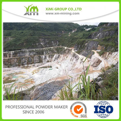 0.2% 수분 칼슘 카보네이트 분말 98% 하얀 Caco3 가루 ISO9001